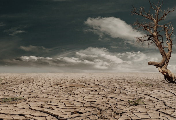 6 ways to improve dry mouth symptoms